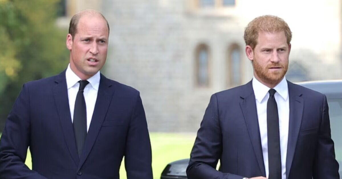 GB News star claims Princess Diana would be 'appalled' | UK News