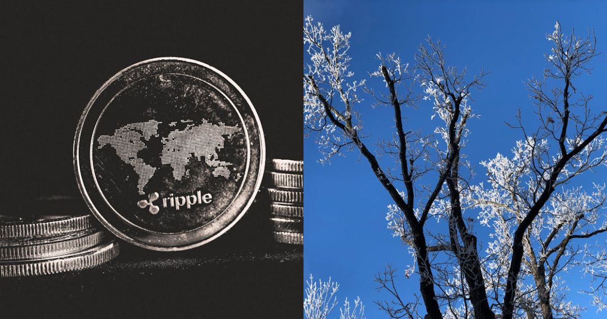 XRP Still Has A Shot If It Can Hold This Level