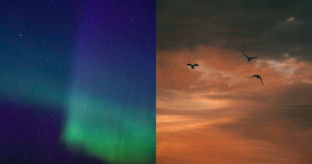 Ether Soars In August—But Will September Spoil The
