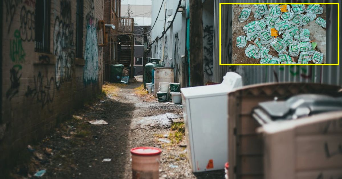 Self-driving trash cans, noiseless EV garbage trucks are future of waste collection