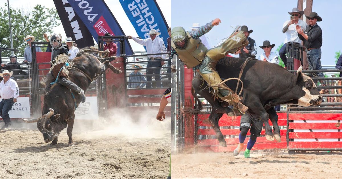 Bull Case For Bitcoin At $300,000 Triggers After