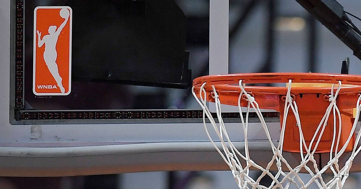 Man, 18, arrested for throwing sex toy at WNBA | NBA News