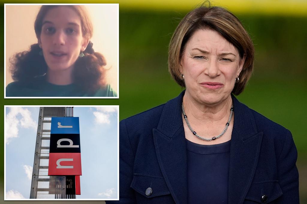 NPR host issues 'clarification' after senator | Gossip Wire