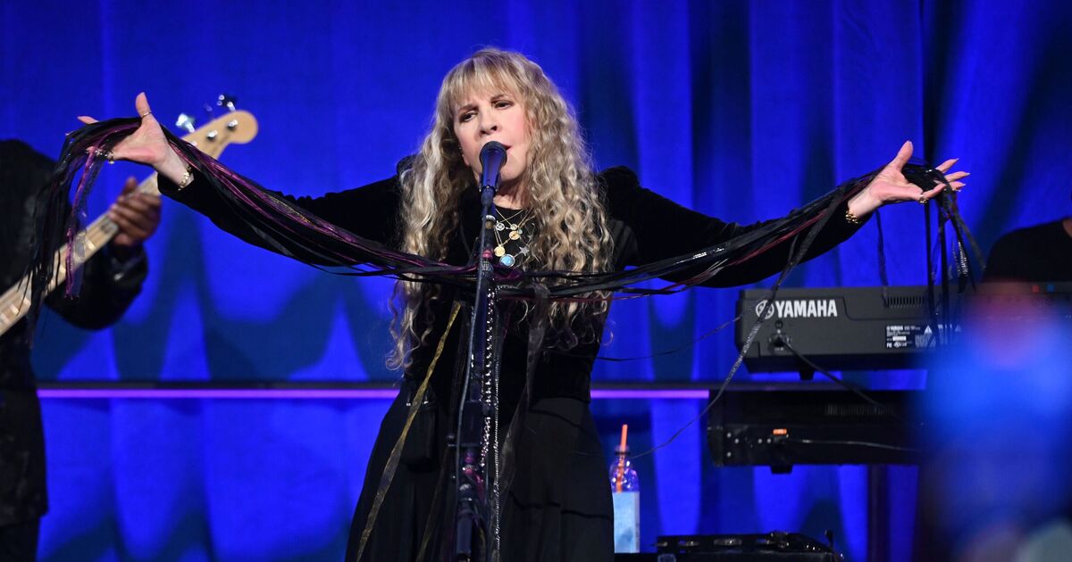 Stevie Nicks tour dates postponed after injury - Music | Music News