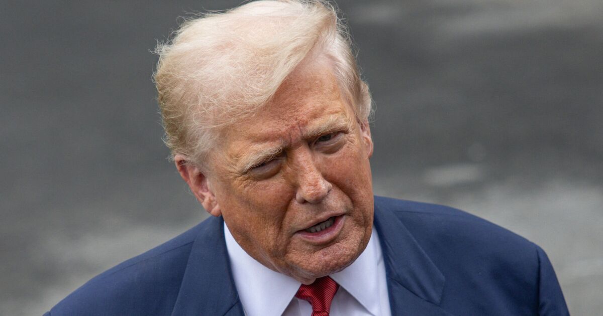 Trump says 'radical left' Dems would vote out | Political News