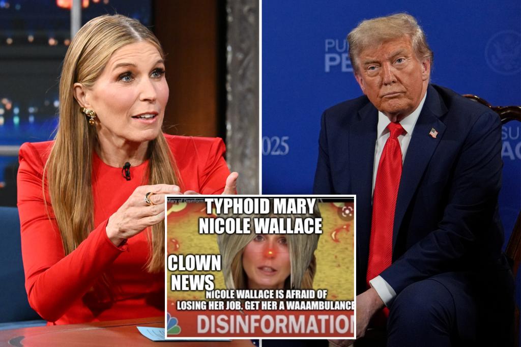 Trump torches Nicolle Wallace as 'loser' with | Gossip Wire