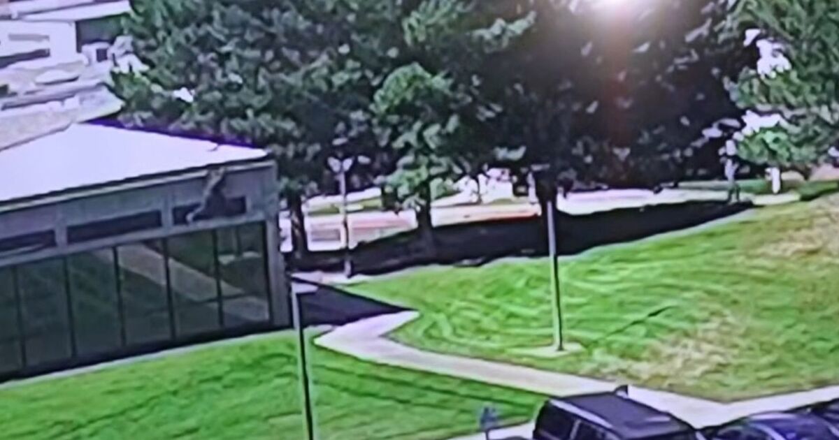 Charlie Kirk shooter suspect hangs from roof as | Political News
