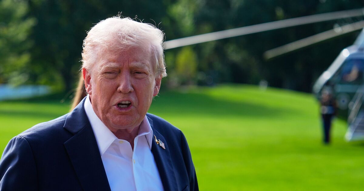 Democrats sweating as Trump says 'others' will | Political News