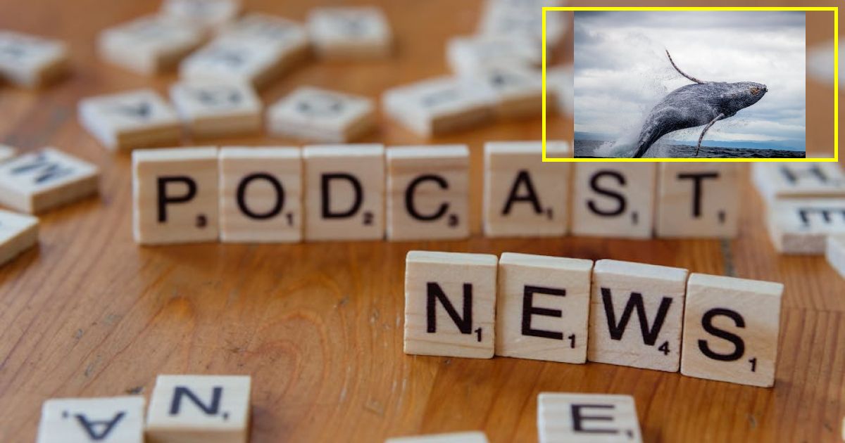 GWN issues breaking news alert on Trump tariff as fans | Latest US News