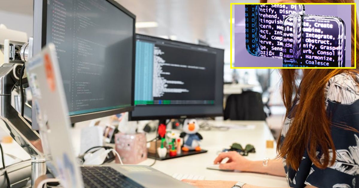 Prominent computer science professor says his graduates cant find work