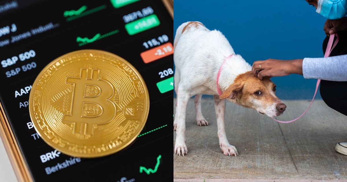 Bitcoin Fear & Greed Index Crashes To Lowest