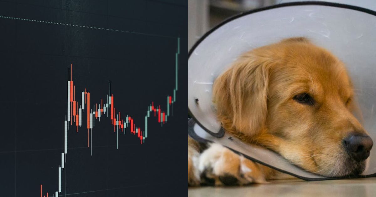 XRP Price Recovery Stalls – Traders Watching If