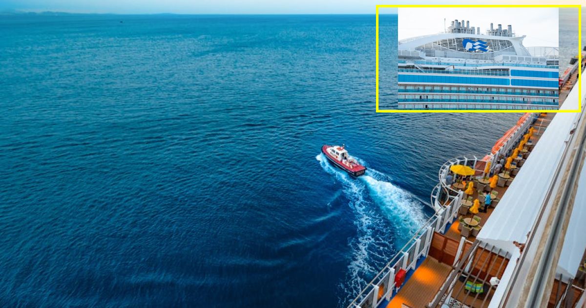 Cruise ship passenger jumps overboard allegedly to avoid $16,000 gambling debt