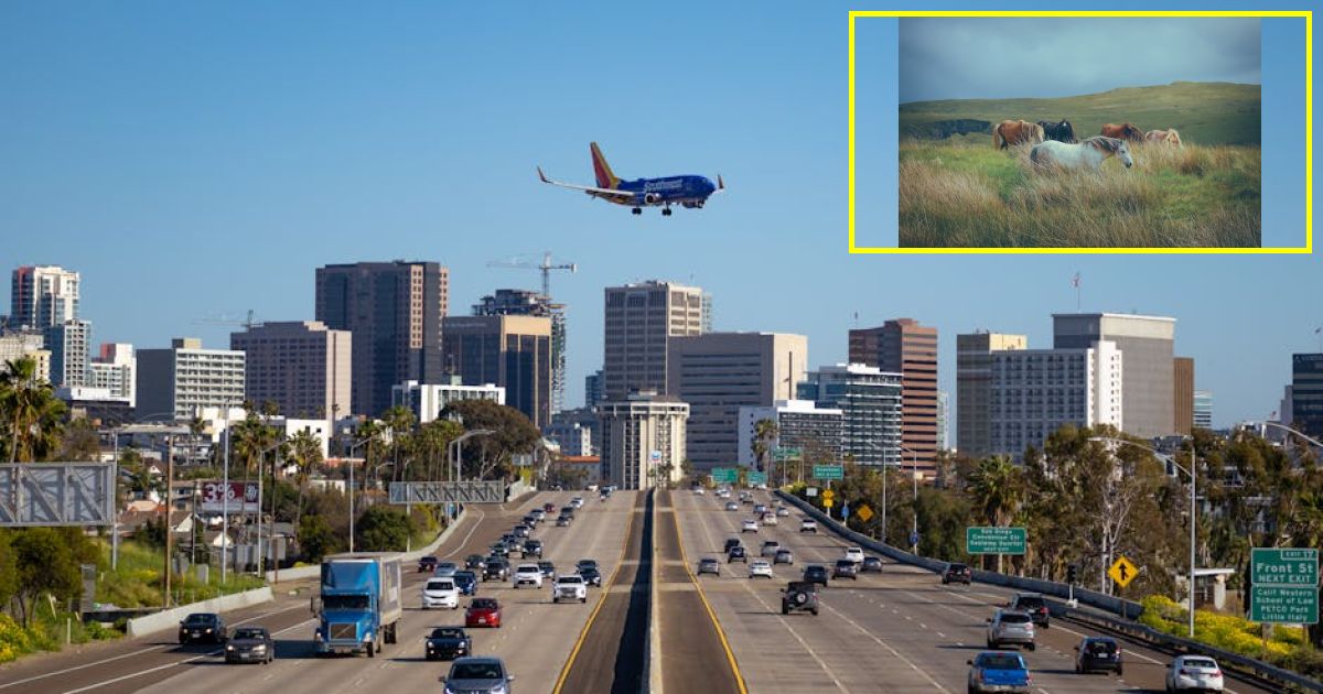 Southwest Airlines Rolls Out Major Free Perk on Some Flights for a Limited Time