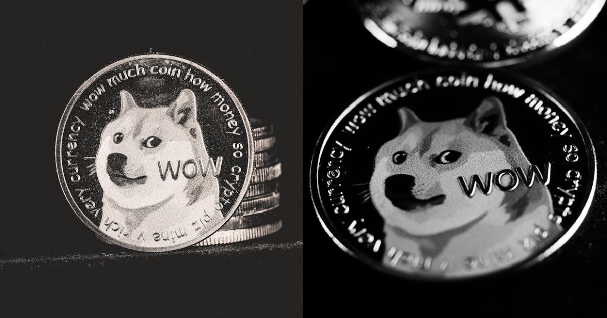 Viral Meme Coin Pudgy Pandas Sparks Maxi Doge