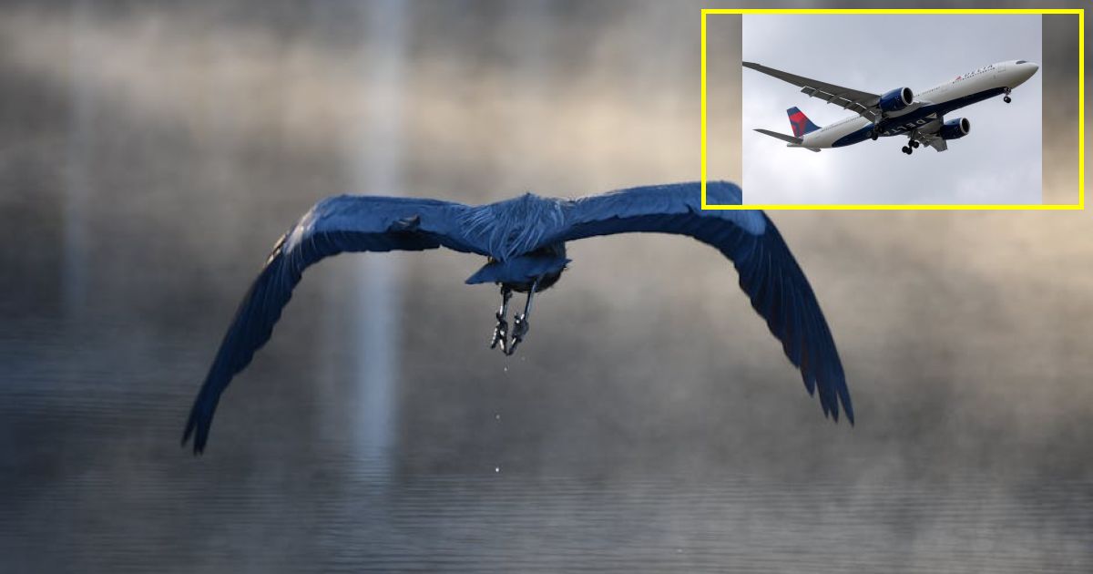 US-bound Delta flight turns around after takeoff due to potential mechanical issue