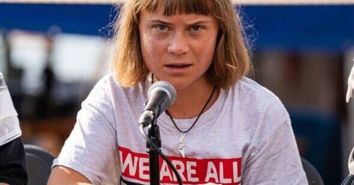 Greta Thunberg faces being thrown in 'terror cell'