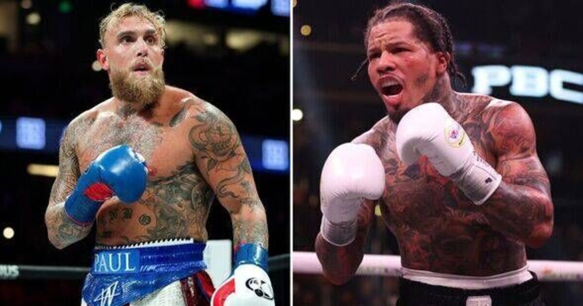 Jake Paul's fight with Gervonta Davis may be | Boxing News