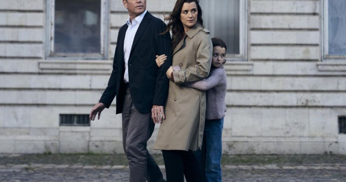 Meet NCIS Tony and Ziva cast from Downton Abbey | TV Shows