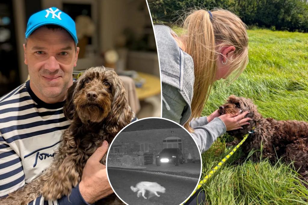 Missing dog lured back to owner with bacon trail | Lifestyle News