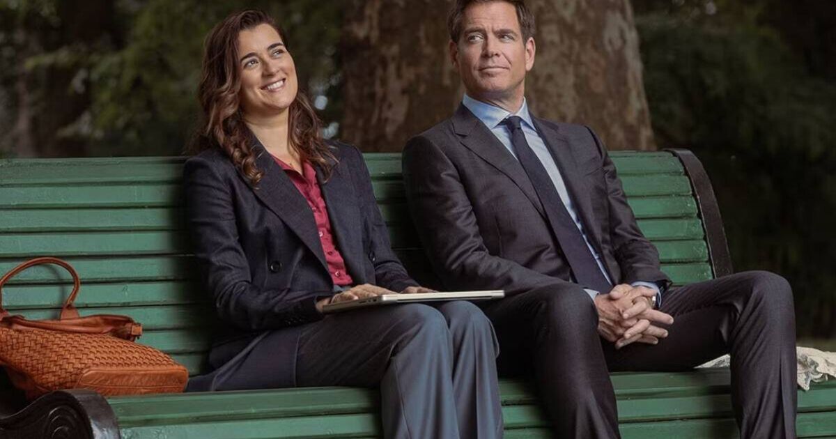 NCIS star Michael Weatherly talks 'fun dynamic' | TV Shows