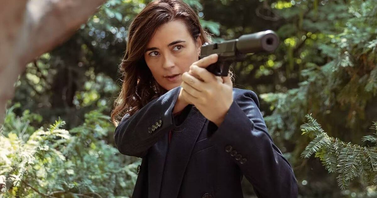 NCIS Tony and Ziva on Paramount+ episode count - | TV Shows