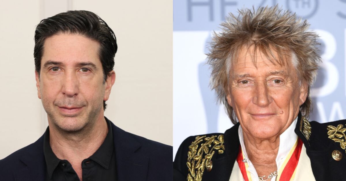 Rod Stewart's divorce twist as David Schwimmer makes | UK News