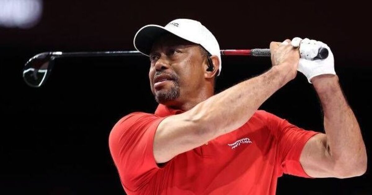 Tiger Woods' role at Ryder Cup after deciding | Golf News