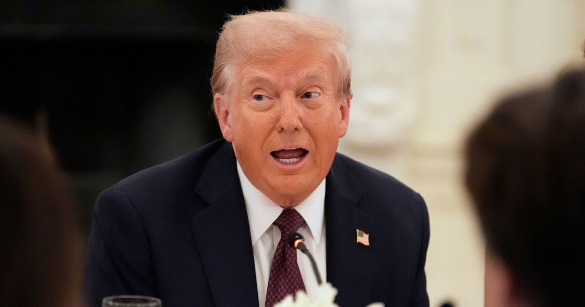 Trump fawns over Google co-founder’s 'MAGA | Political News