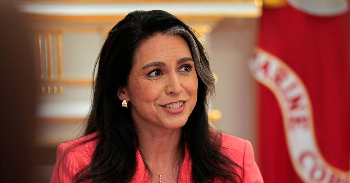 Tulsi Gabbard and husband Abraham Williams' 7-year