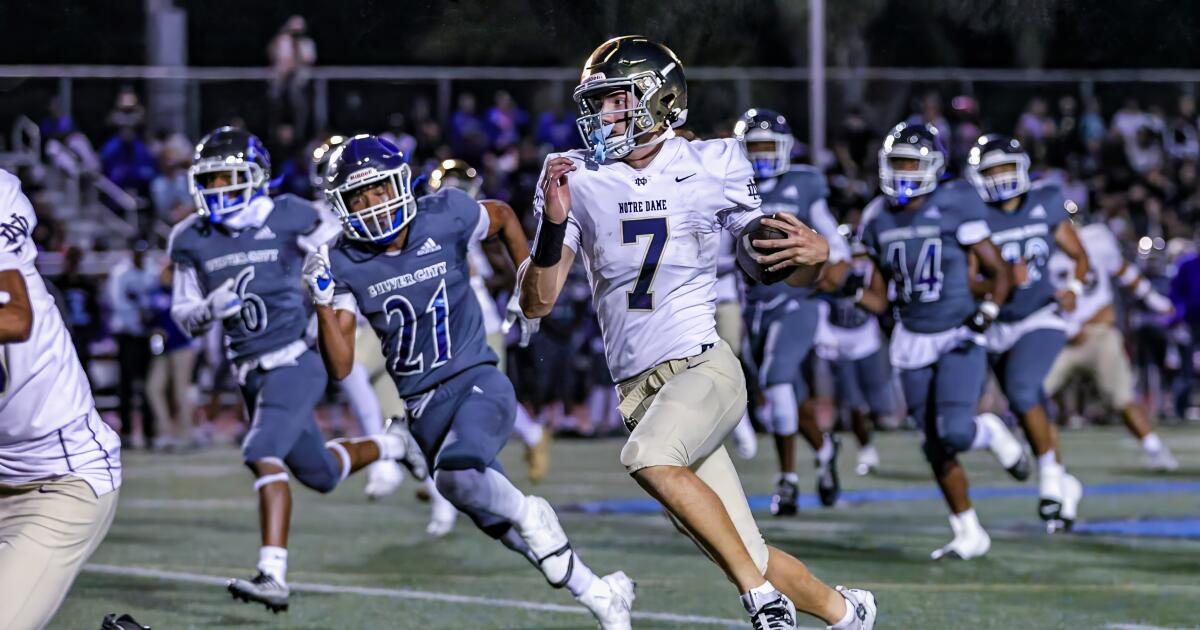 Tyran Stokes a big hit in Notre Dame's defeat of