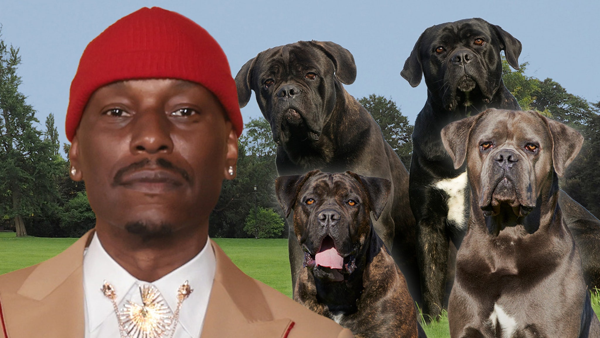 Tyrese Fully Cooperating With Cops After His