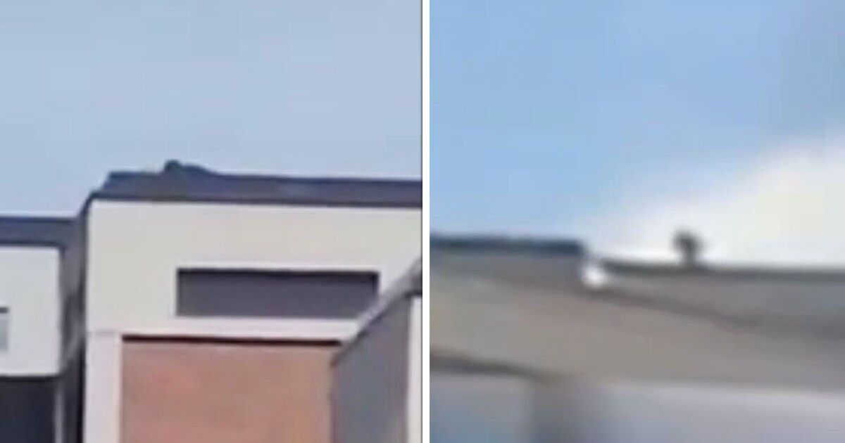 Video appears to show Charlie Kirk gunman fleeing | Political News