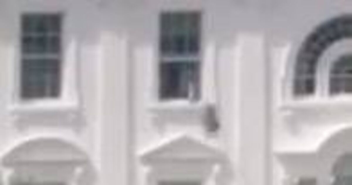 White House forced to explain after 'mystery | Political News