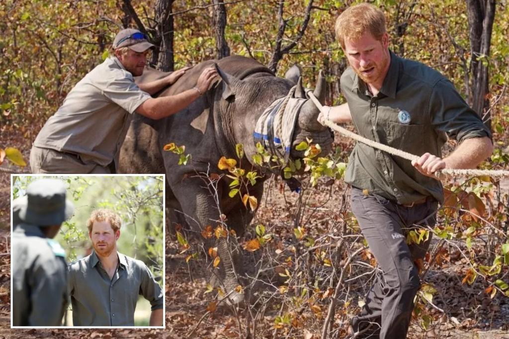 Charity linked to Prince Harry loses mandate to