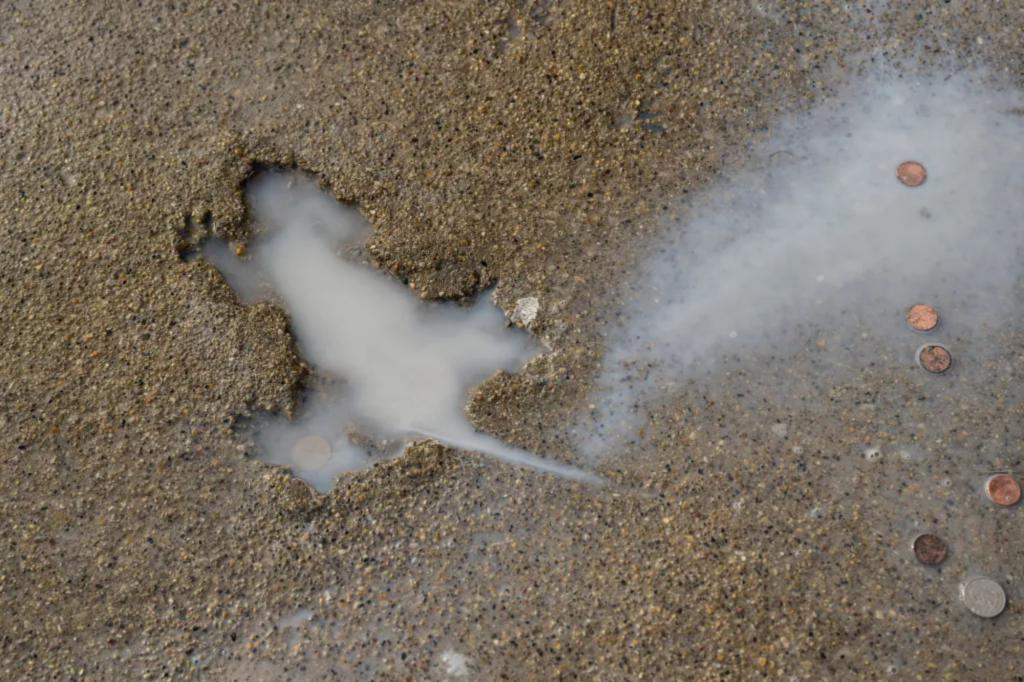 Chicago's 'rat hole' likely caused from other | Lifestyle News