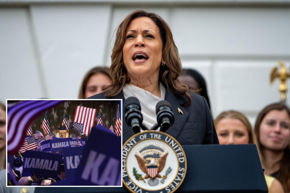 Democratic donor ditched Harris-led fundraiser | Gossip Wire