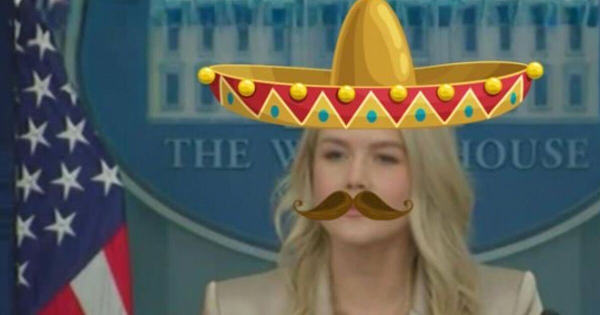 Democrats ridicule Karoline Leavitt with sombrero | Political News