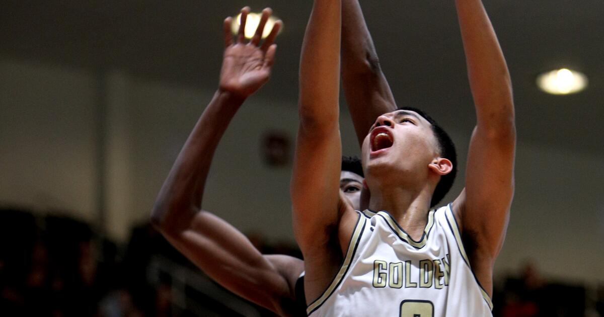 Former St. Francis guard Andre Henry ready for