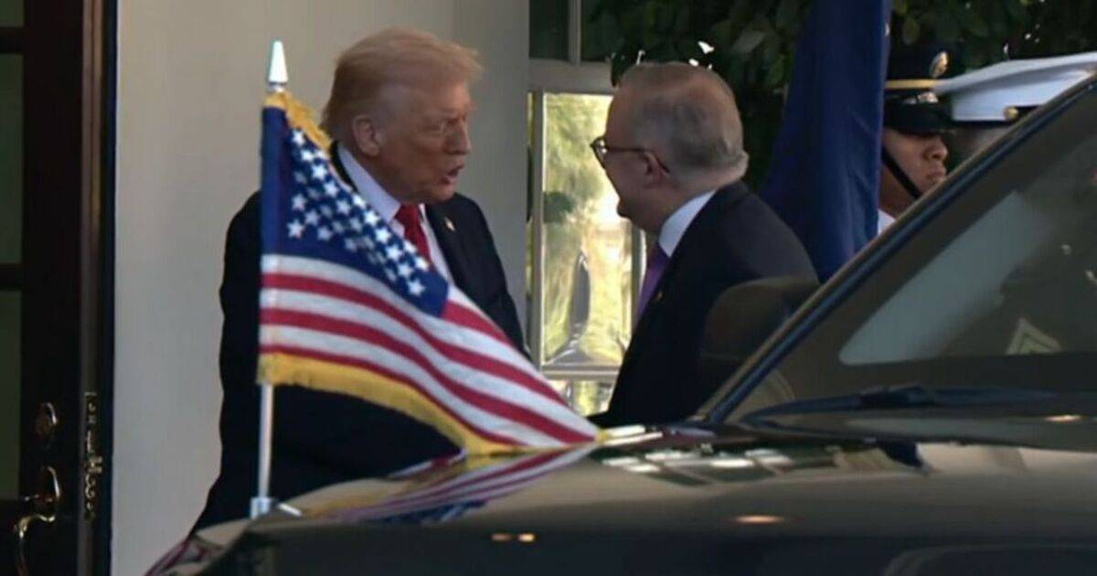 Fox News halts for breaking news as Trump shouts | TV Shows