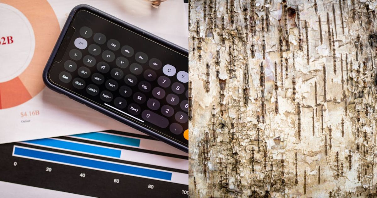 Forget the $100 billion club — there are now 6 people worth over $200 billion