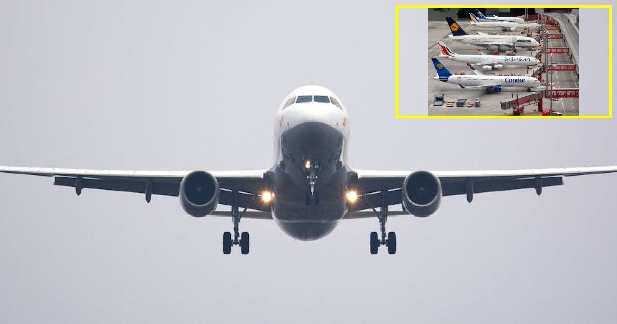 This airline now offers complimentary beer, wine and snacks in economy