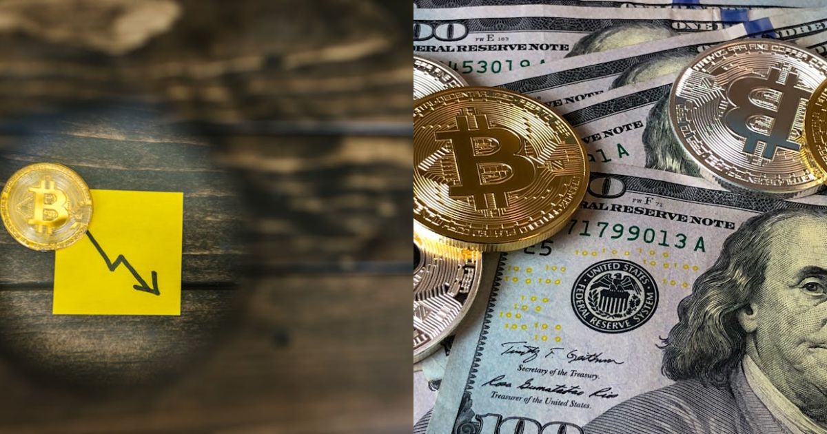 Digital Assets Demand Rising: 1 In 2 Institutions