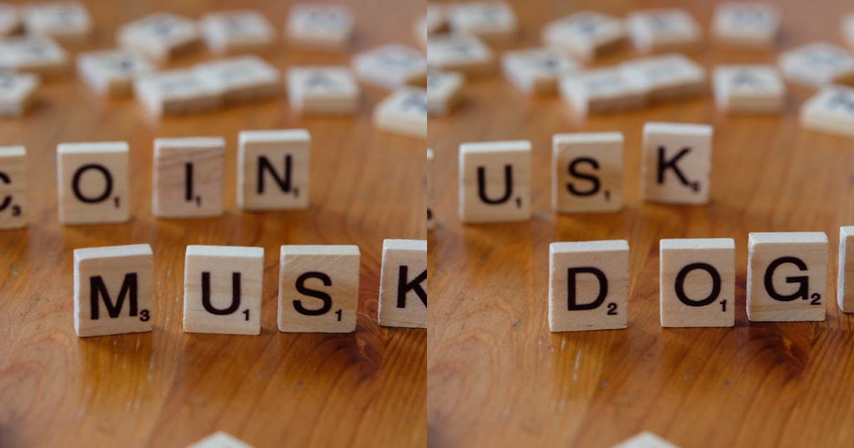 Elon Musk Reignites Floki Frenzy, Can FLOKI Hold
