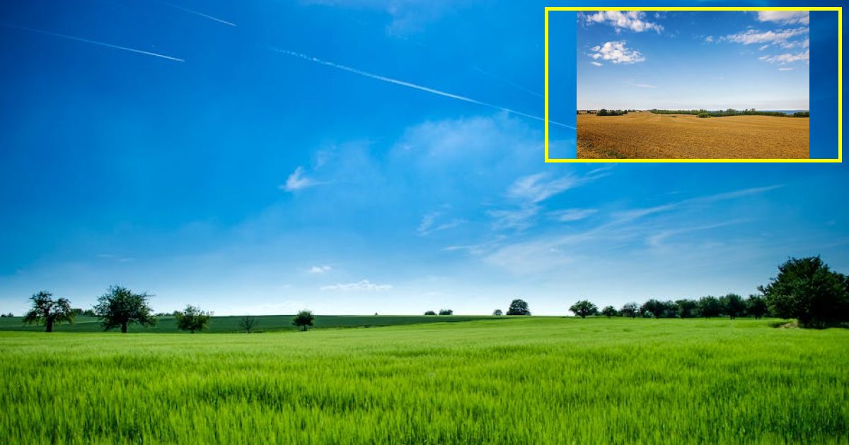 Air Force’s Crop Duster Converted Into Attack Plane Crash Lands In Field