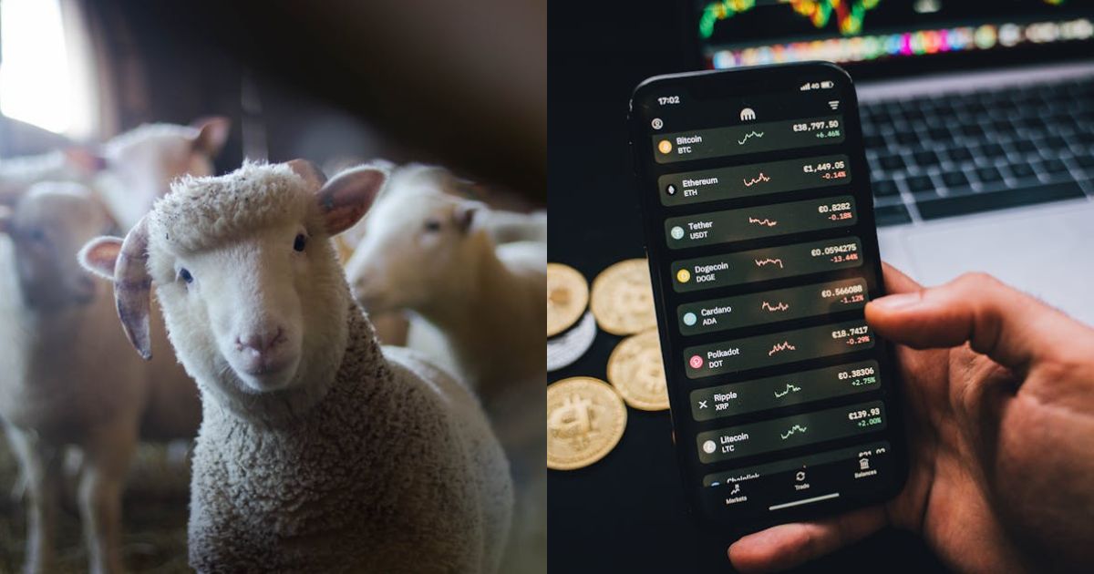 Dogecoin Sheds 25% As $57M Flees Market — Can The