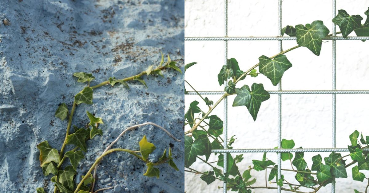 Hedera (HBAR) Slips 1.6% Daily but ETF Hopes and