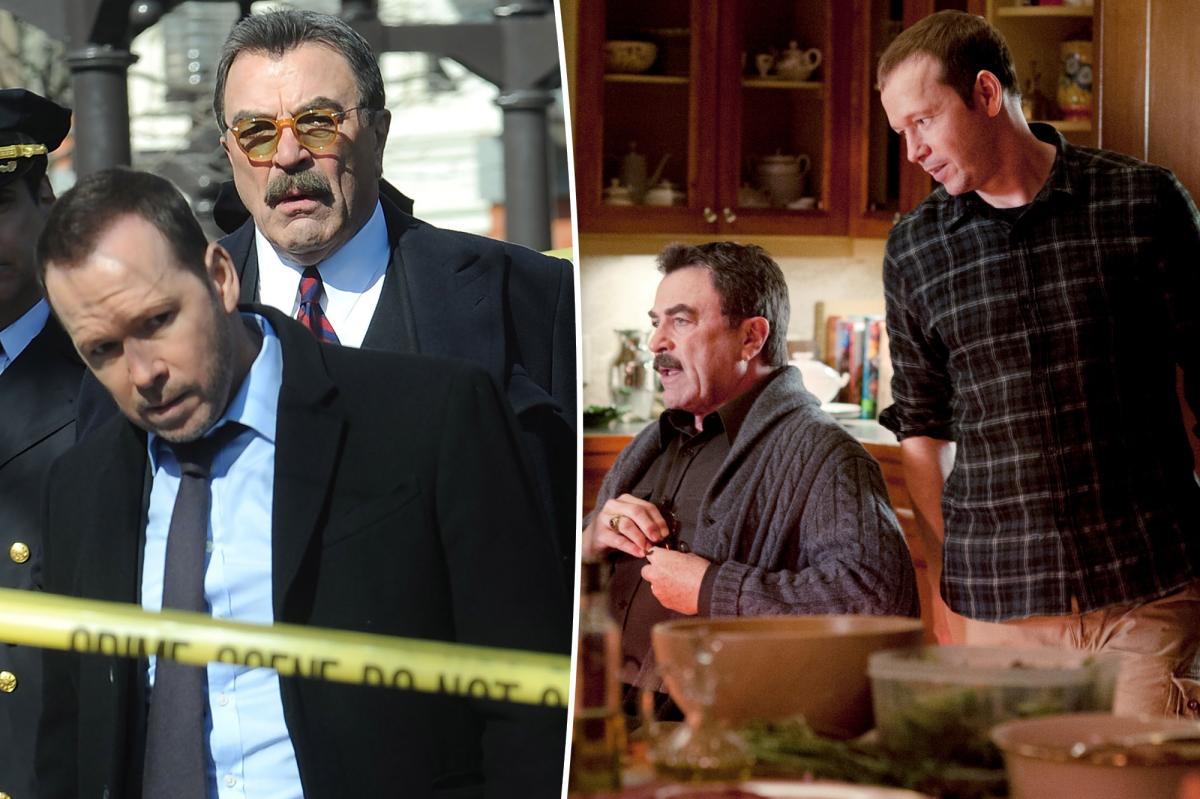 How Tom Selleck feels about 'Blue visible injurys' spinoff