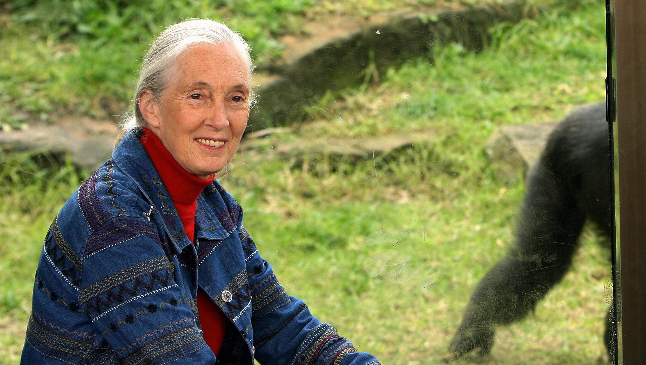 Jane Goodall’s Cause of Death: How Did the Beloved | Gossip Wire