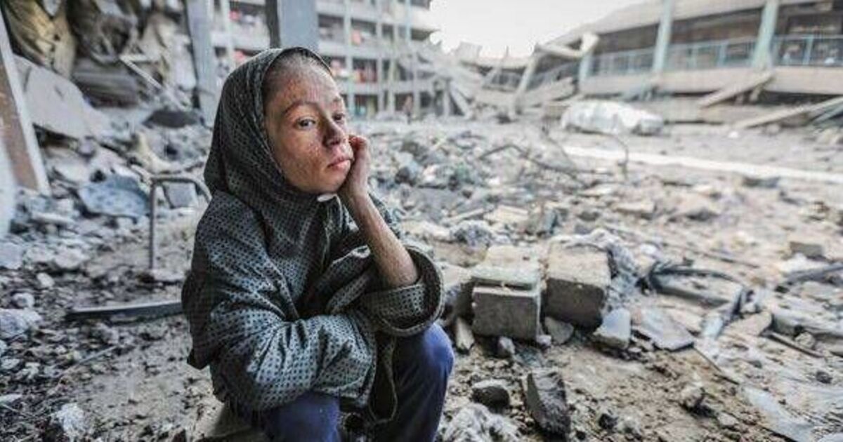 'Palestine will disappear' under Trump's Gaza | Political News